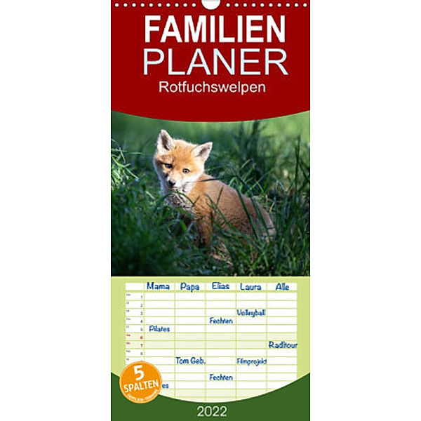 Familienplaner Rotfuchswelpen (Wandkalender 2022 , 21 cm x 45 cm, hoch), David Oberholzer