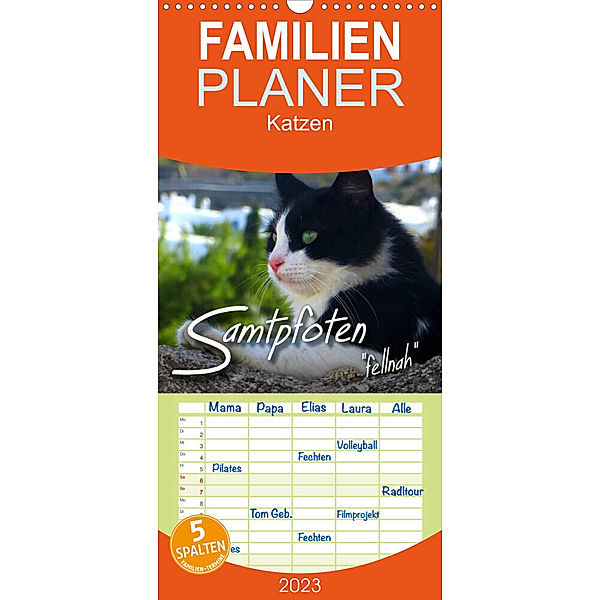 Familienplaner SAMTPFOTEN fellnah (Wandkalender 2023 , 21 cm x 45 cm, hoch), Renate Bleicher