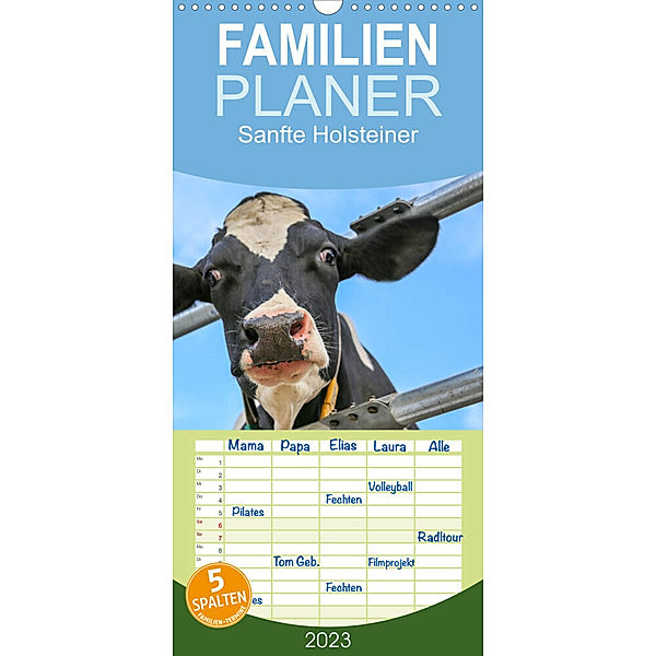 Familienplaner Sanfte Holsteiner (Wandkalender 2023 , 21 cm x 45 cm, hoch), Jana JF Führer