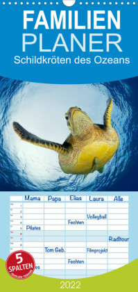 Seel Familienplaner Schildkrötenzauber DIN A3 Kalender für 2022 Schildkröten 