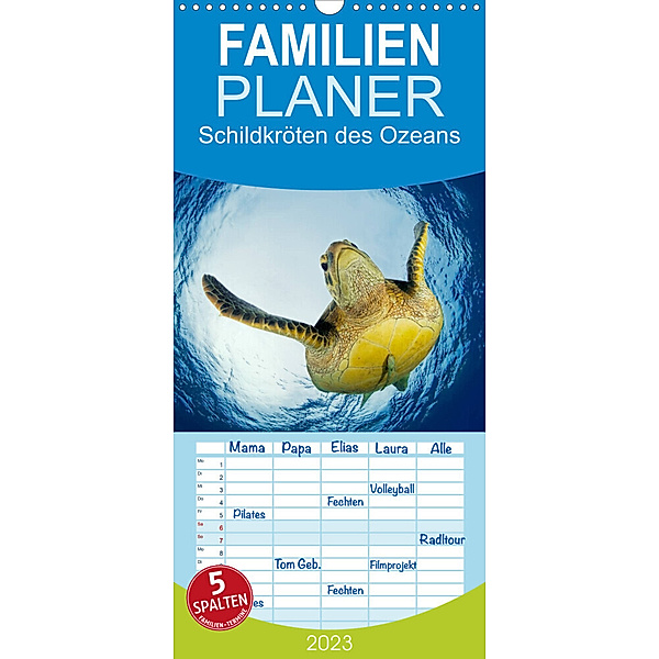 Familienplaner Schildkröten des Ozeans (Wandkalender 2023 , 21 cm x 45 cm, hoch), Henry Jager