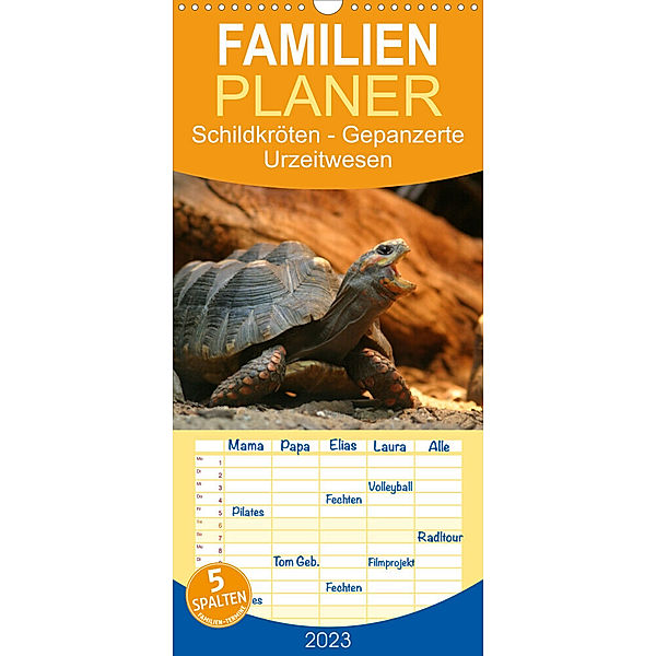 Familienplaner Schildkröten - Gepanzerte Urzeitwesen (Wandkalender 2023 , 21 cm x 45 cm, hoch), Barbara Mielewczyk