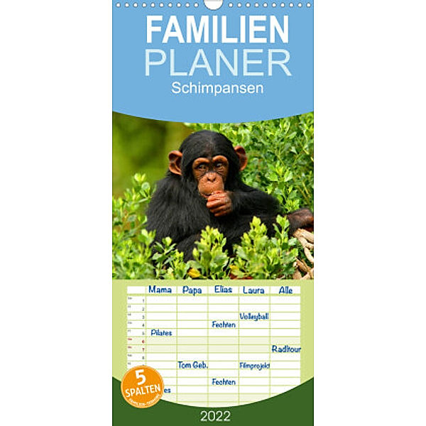 Familienplaner Schimpansen (Wandkalender 2022 , 21 cm x 45 cm, hoch), Elisabeth Stanzer