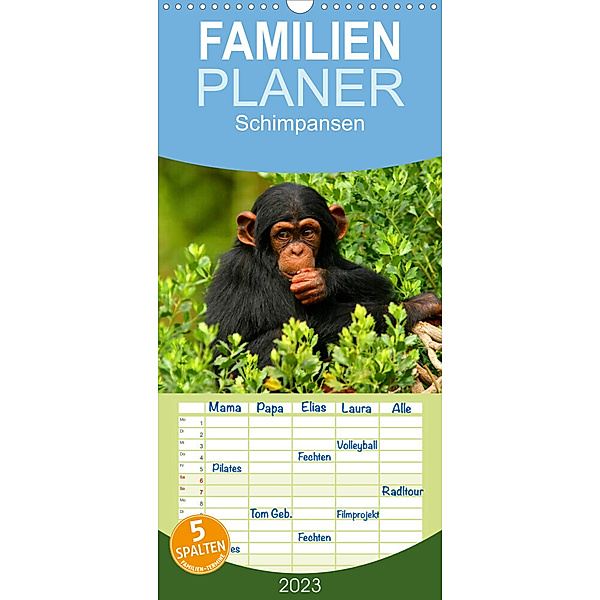 Familienplaner Schimpansen (Wandkalender 2023 , 21 cm x 45 cm, hoch), Elisabeth Stanzer