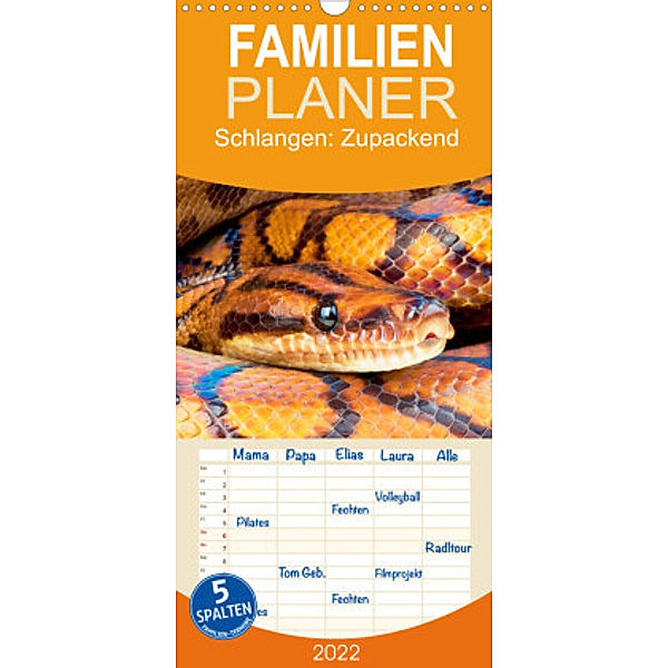Familienplaner Schlangen: Zupackend (Wandkalender 2022 , 21 cm x 45 cm, hoch), Calvendo