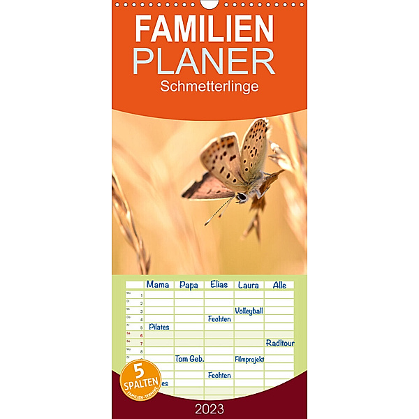 Familienplaner Schmetterlinge. Schimmernde Zauberwesen (Wandkalender 2023 , 21 cm x 45 cm, hoch), Aneta Zofia Brinker