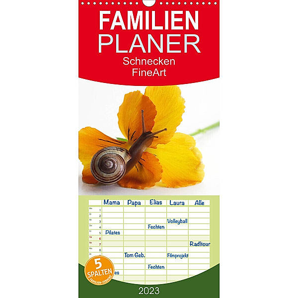 Familienplaner Schnecken  FineArt (Wandkalender 2023 , 21 cm x 45 cm, hoch), Tanja Riedel