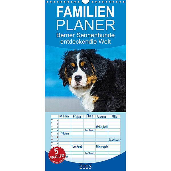 Familienplaner Seebärchen entdecken die Welt - Berner Sennenhunde (Wandkalender 2023 , 21 cm x 45 cm, hoch), Sigrid Starick