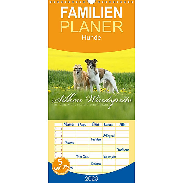 Familienplaner Silken Windsprite - Mit Merlin und Calisto durch´s Jahr 2023 (Wandkalender 2023 , 21 cm x 45 cm, hoch), Maike Müller - GoldenMerlo.de