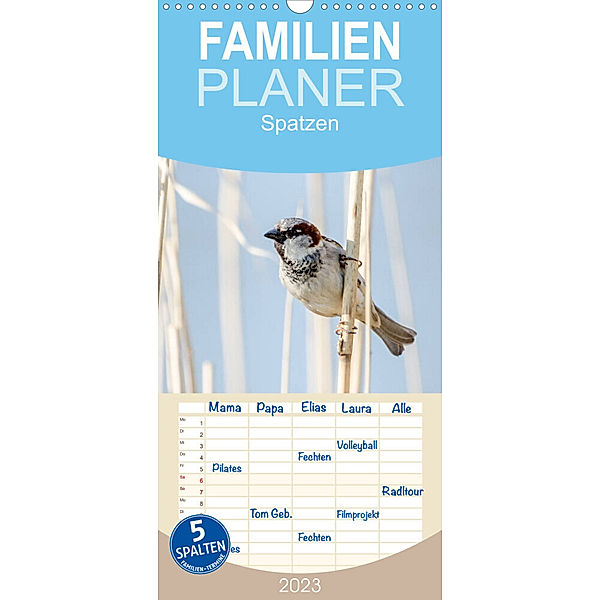 Familienplaner Spatzen (Wandkalender 2023 , 21 cm x 45 cm, hoch), Marianne Drews