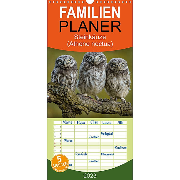 Familienplaner Steinkäuze (Athene noctua) (Wandkalender 2023 , 21 cm x 45 cm, hoch), Winfried Rusch