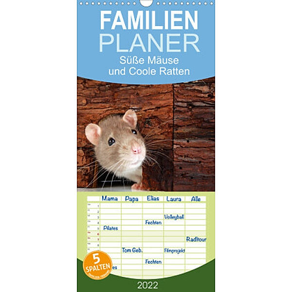 Familienplaner Süße Mäuse und Coole Ratten (Wandkalender 2022 , 21 cm x 45 cm, hoch), Klaus Eppele