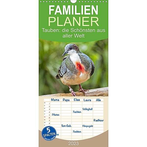 Familienplaner Tauben: die Schönsten aus aller Welt (Wandkalender 2023 , 21 cm x 45 cm, hoch), Calvendo