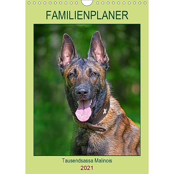 Familienplaner Tausendsassa Malinois (Wandkalender 2021 DIN A4 hoch), Sigrid Starick