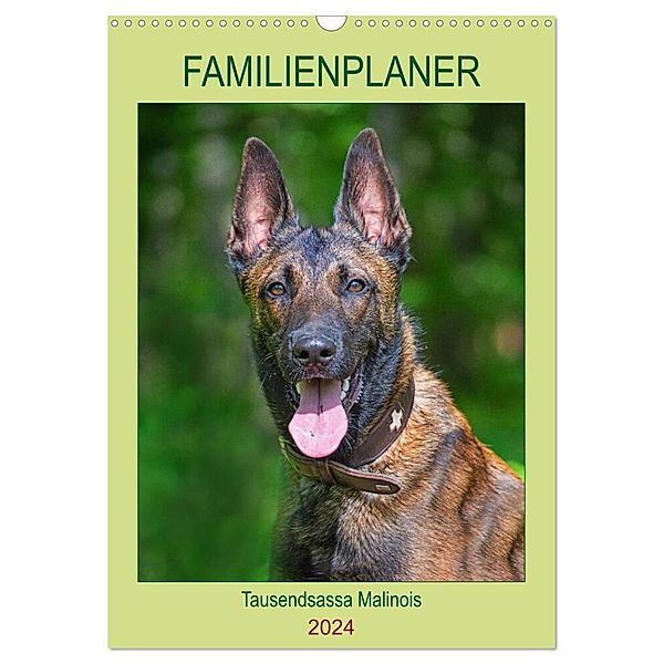 Familienplaner Tausendsassa Malinois (Wandkalender 2024 DIN A3 hoch), CALVENDO Monatskalender, Sigrid Starick