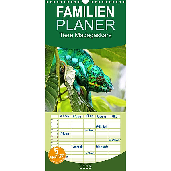 Familienplaner Tiere Madagaskars (Wandkalender 2023 , 21 cm x 45 cm, hoch), Céline Baur