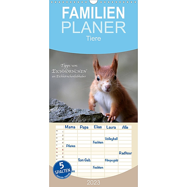 Familienplaner Tipps von Eichhörnchen an Eichhörnchenliebhaber (Wandkalender 2023 , 21 cm x 45 cm, hoch), Birgit Cerny