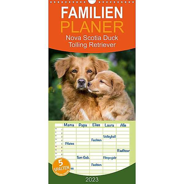 Familienplaner Toller - Nova Scotia Duck Tolling Retriever (Wandkalender 2023 , 21 cm x 45 cm, hoch), Anna Auerbach