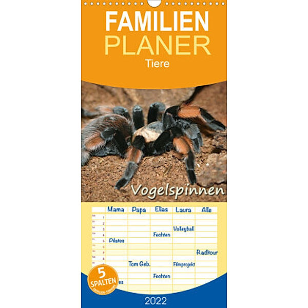 Familienplaner Vogelspinnen (Wandkalender 2022 , 21 cm x 45 cm, hoch), Barbara Mielewczyk