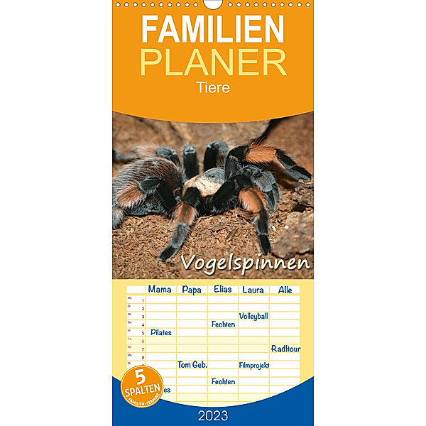 Familienplaner Vogelspinnen (Wandkalender 2023 , 21 cm x 45 cm, hoch), Barbara Mielewczyk