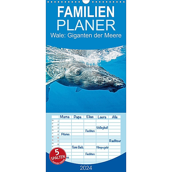 Familienplaner Wale: Giganten der Meere (Wandkalender 2024 , 21 cm x 45 cm, hoch), Calvendo