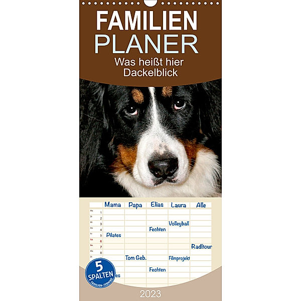 Familienplaner Was heißt hier Dackelblick (Wandkalender 2023 , 21 cm x 45 cm, hoch), Silvia Drafz