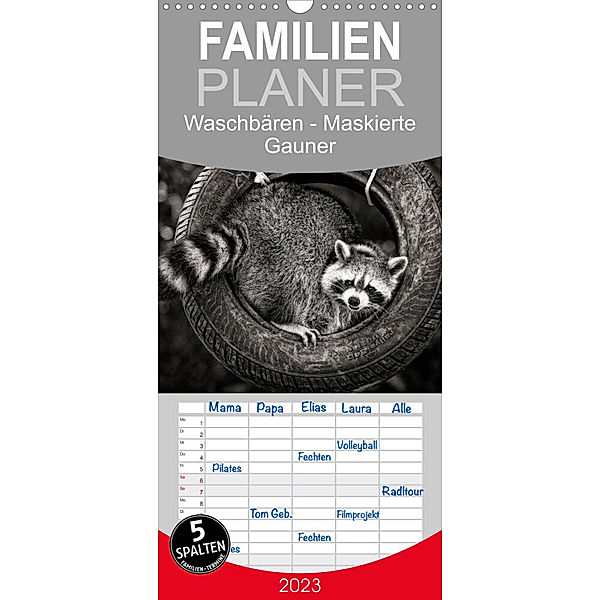 Familienplaner Waschbären - Maskierte Gauner (Wandkalender 2023 , 21 cm x 45 cm, hoch), Klaus-Peter Selzer