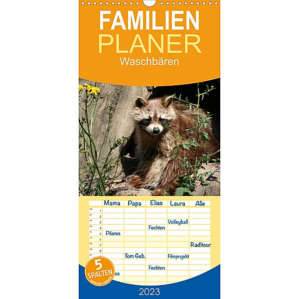 Familienplaner Waschbären (Wandkalender 2023 , 21 cm x 45 cm, hoch), Antje Lindert-Rottke