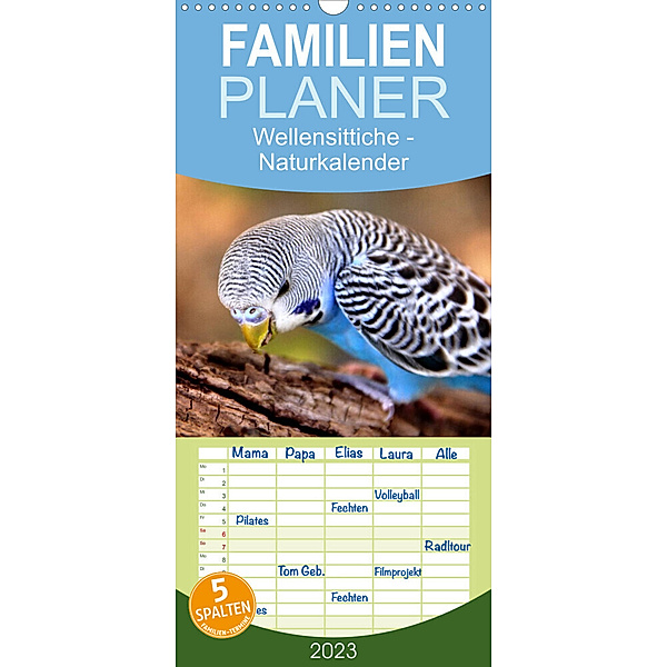 Familienplaner Wellensittiche - Naturkalender (Wandkalender 2023 , 21 cm x 45 cm, hoch), Björn Bergmann
