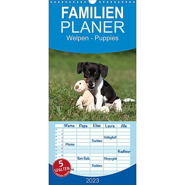 Familienplaner Welpen - Puppies (Wandkalender 2023 , 21 cm x 45 cm, hoch), Jeanette Hutfluss