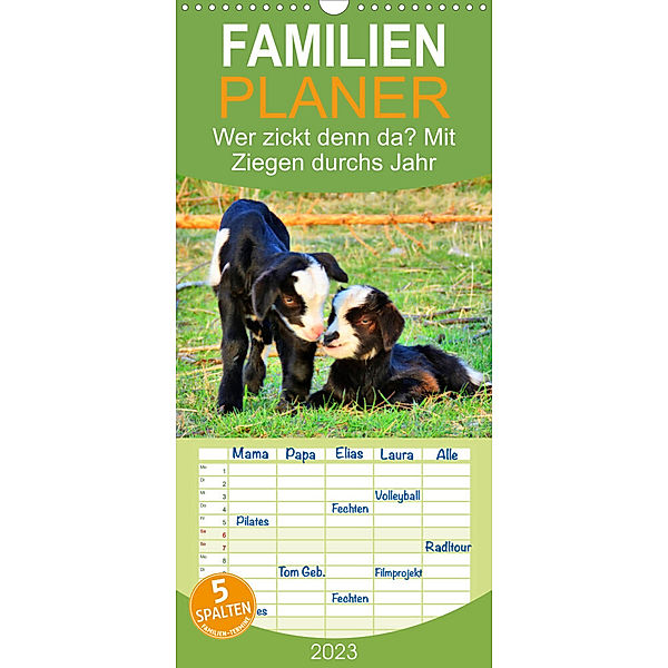 Familienplaner Wer zickt denn da? Mit Ziegen durchs Jahr (Wandkalender 2023 , 21 cm x 45 cm, hoch), Sabine Löwer