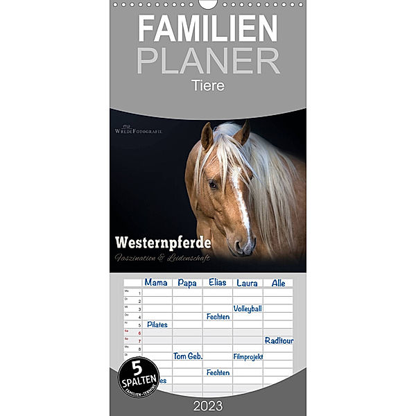 Familienplaner Westernpferde - Faszination und Leidenschaft (Wandkalender 2023 , 21 cm x 45 cm, hoch), Martina Wrede