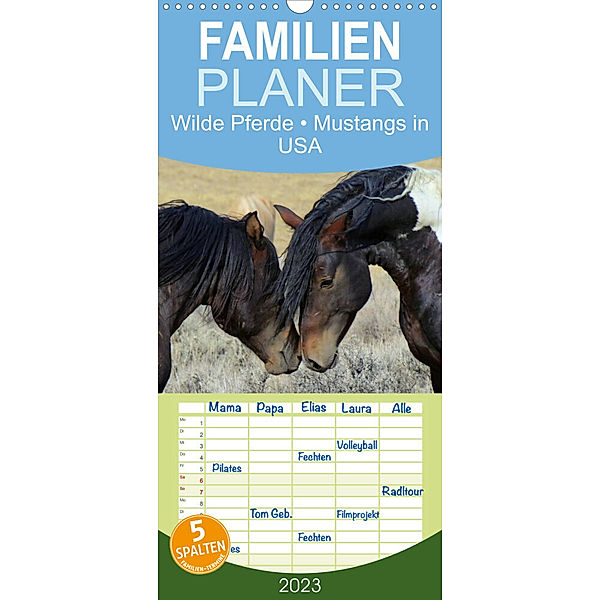 Familienplaner Wilde Pferde - Mustangs in USA (Wandkalender 2023 , 21 cm x 45 cm, hoch), Elisabeth Stanzer