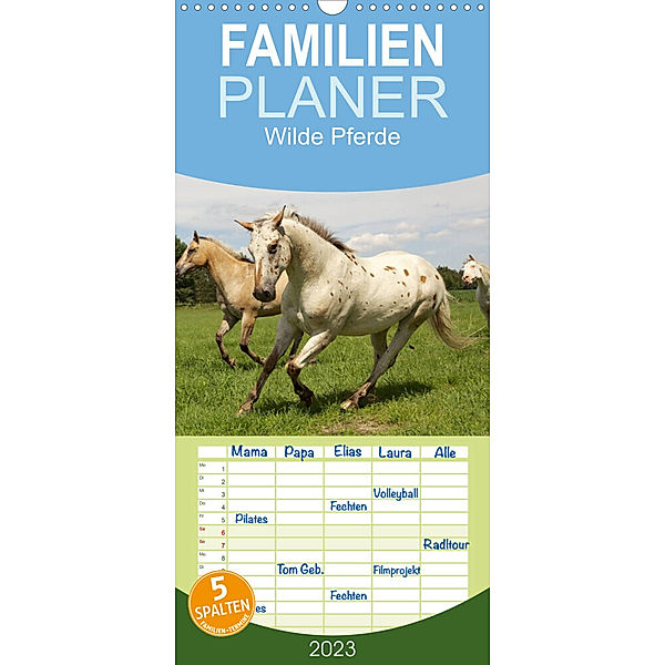 Familienplaner Wilde Pferde (Wandkalender 2023 , 21 cm x 45 cm, hoch), Jens Kalanke