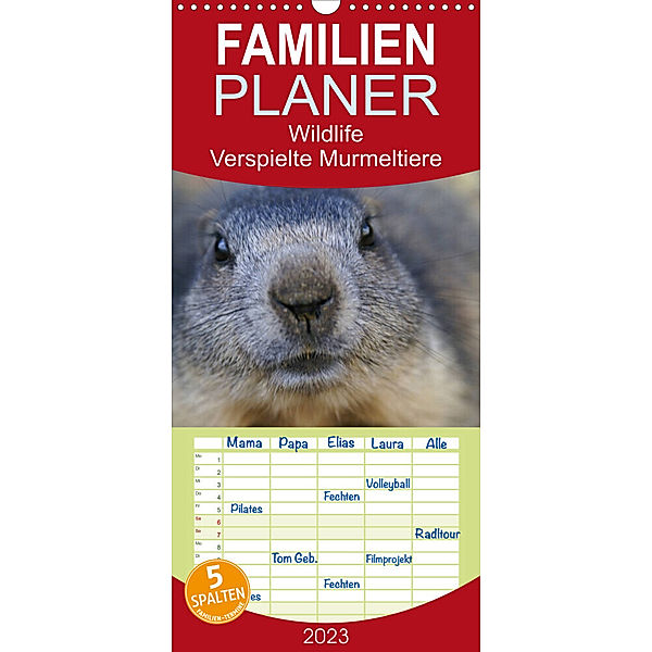 Familienplaner Wildlife - Verspielte Murmeltiere (Wandkalender 2023 , 21 cm x 45 cm, hoch), Susan Michel / CH