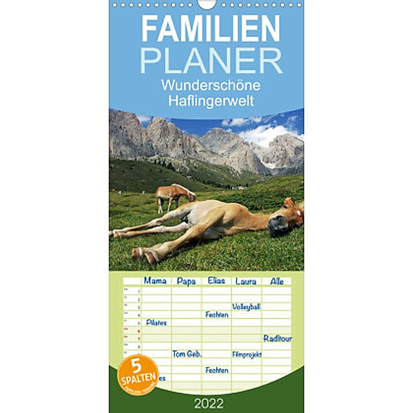 Familienplaner Wunderschöne Haflingerwelt (Wandkalender 2022 , 21 cm x 45 cm, hoch), Michael Rucker