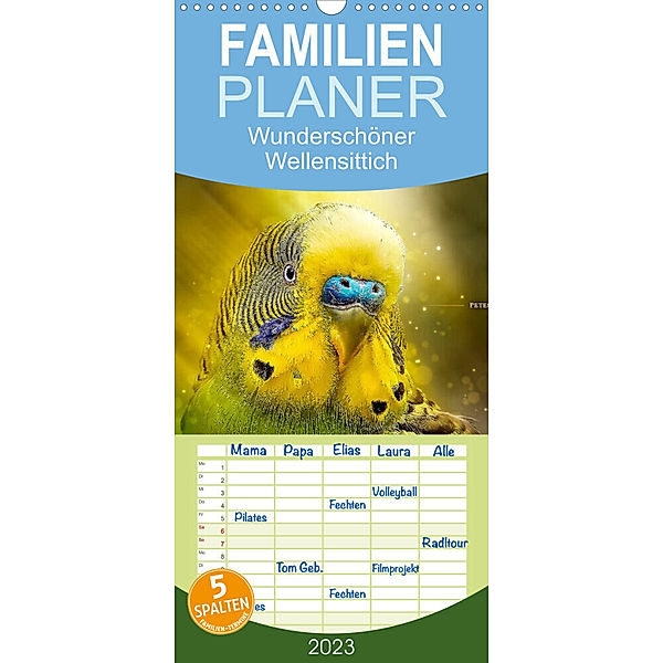Familienplaner Wunderschöner Wellensittich (Wandkalender 2023 , 21 cm x 45 cm, hoch), Peter Roder