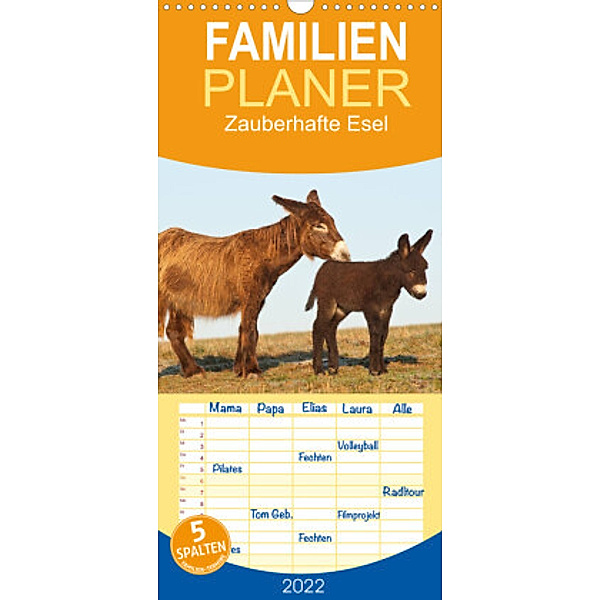 Familienplaner Zauberhafte Esel (Wandkalender 2022 , 21 cm x 45 cm, hoch), Meike Bölts
