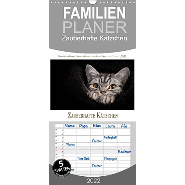 Familienplaner Zauberhafte Kätzchen (Wandkalender 2022 , 21 cm x 45 cm, hoch), Martina Wrede