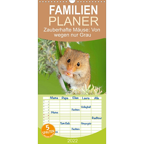 Familienplaner Zauberhafte Mäuse: Von wegen nur Grau (Wandkalender 2022 , 21 cm x 45 cm, hoch), Calvendo
