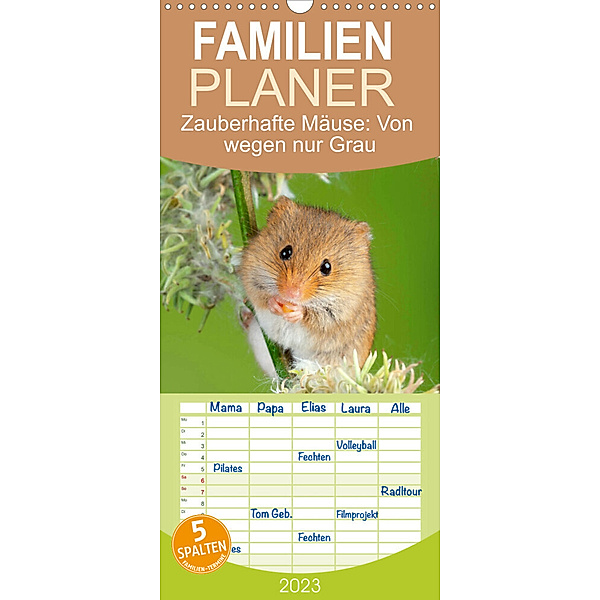 Familienplaner Zauberhafte Mäuse: Von wegen nur Grau (Wandkalender 2023 , 21 cm x 45 cm, hoch), Calvendo