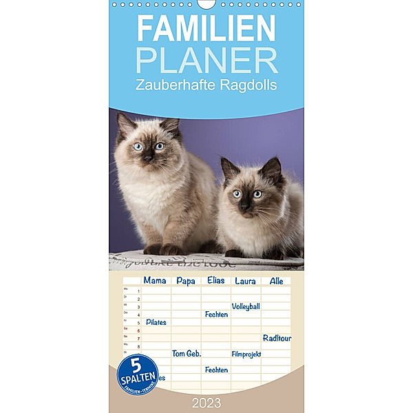 Familienplaner Zauberhafte Ragdolls (Wandkalender 2023 , 21 cm x 45 cm, hoch), Nicole Noack