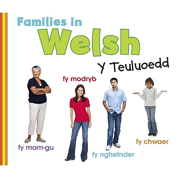 Families in Welsh: Y Teuluoedd / Raintree Publishers, Daniel Nunn