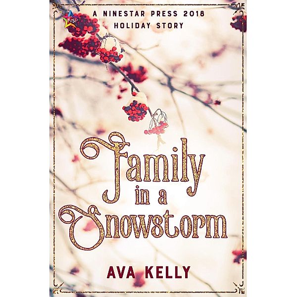 Family in a Snowstorm (Snow Globes, #2), Ava Kelly