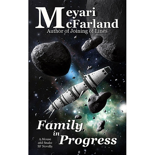 Family in Progress (Mouse and Snake, #14) / Mouse and Snake, Meyari McFarland