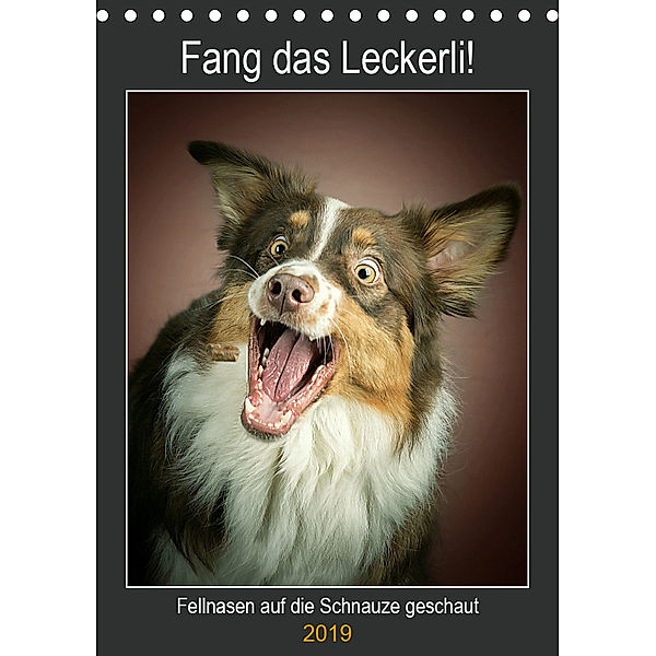 Fang das Leckerli (Tischkalender 2019 DIN A5 hoch), Jürgen Schöberl