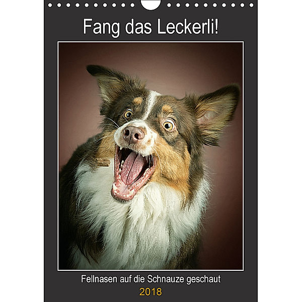 Fang das Leckerli (Wandkalender 2018 DIN A4 hoch), Jürgen Schöberl