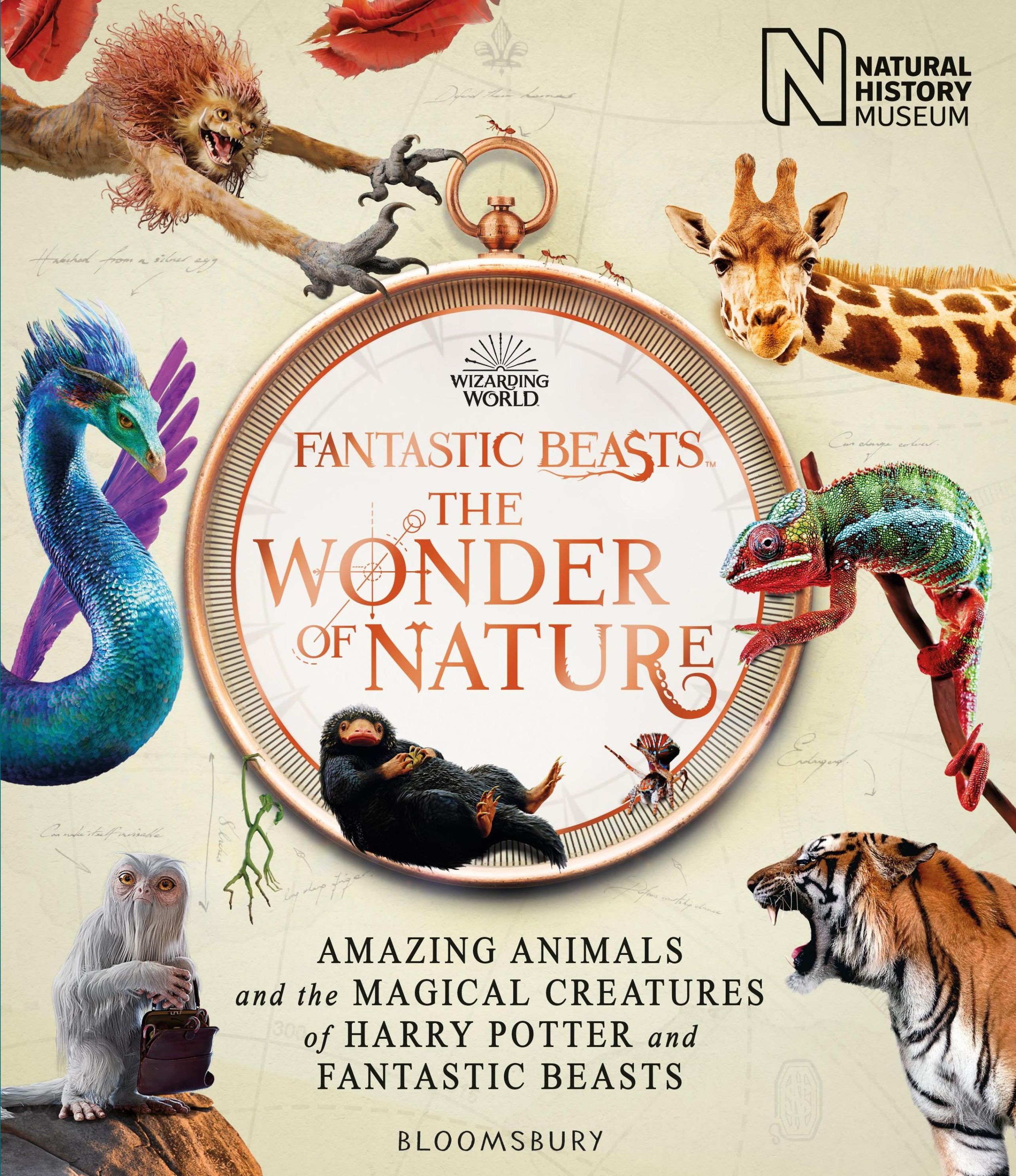 Fantastic Beasts: The Wonder of Nature Buch versandkostenfrei - Weltbild.ch