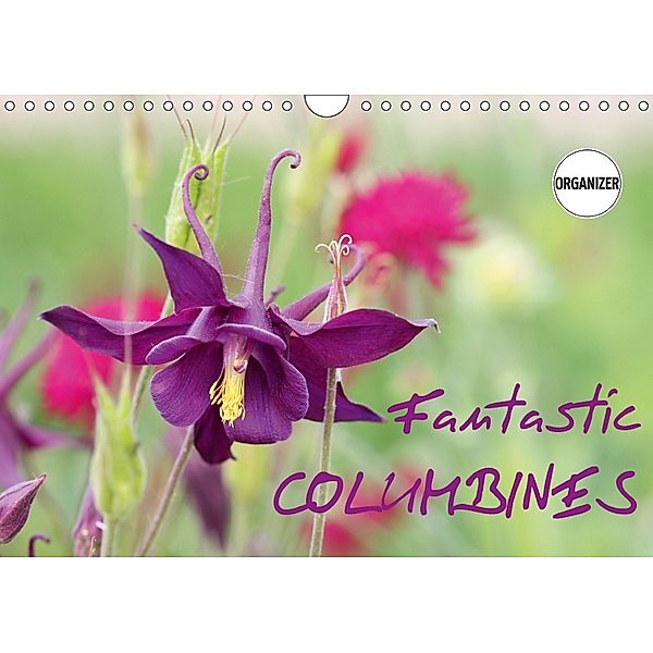 Fantastic Columbines (Wall Calendar 2018 DIN A4 Landscape), Gisela Kruse