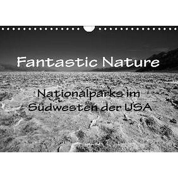 Fantastic Nature - Nationalparks im Südwesten der USA (Wandkalender 2016 DIN A4 quer), Reinhard Müller